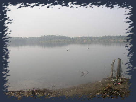 P1010167.png